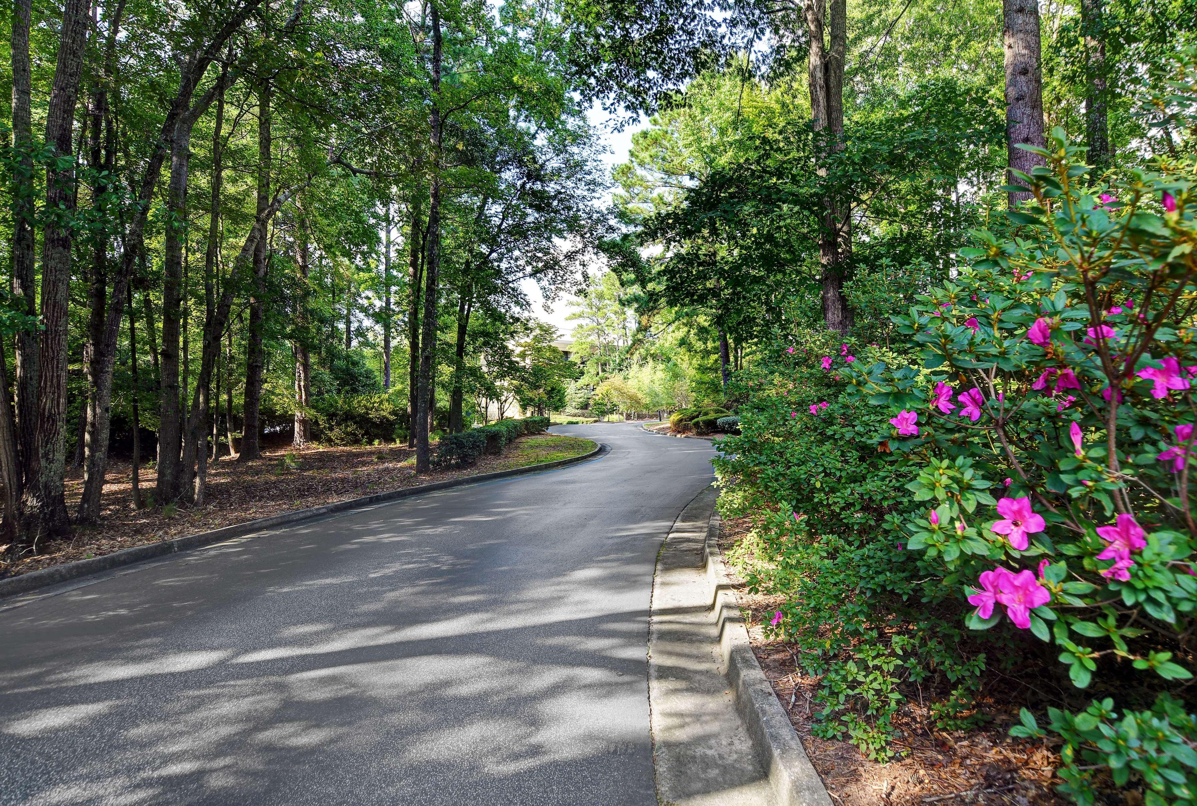 Hilton Peachtree City Atlanta Hotel & Conference Center Zewnętrze zdjęcie